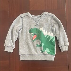 Carters Gray Dinosaur Kids Sweatshirt